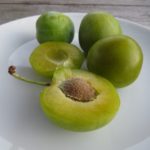 Ringlotten frisch vom Baum