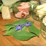 Borretschernte für die Küche