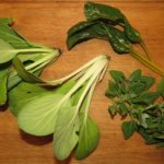 Erntestrecke: Pak choi und anderes grünes Blattgemüse