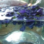 Blüten mit heißem Wasser aufgießen