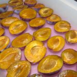 fertig zum Einfrieren