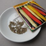 Karottensamen