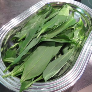 Bärlauch aus der Au