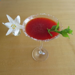 Garnitur für Drinks und ...