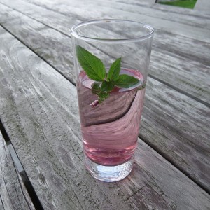 Rosensirup mit Mineralwasser spritzen