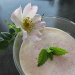 Rosenjoghurtlassi