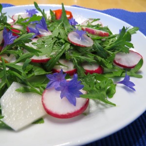 bunter Salatteller mit Kornblumenblütenblätter