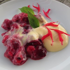 Grütze mit Milchprodukten wie Vanillesauce anrichten