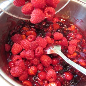 zuletzt empfindliche Beeren hinzufügen