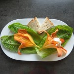 gefüllte Taglilienblüten