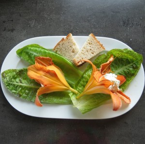 gefüllte Taglilienblüten