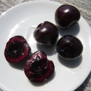 dunkelrotes Fruchtfleisch der Hedelfinger Riesenkirsche