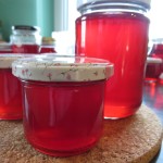 fertig befüllte Gläser für den Vorrat oder zum sofortigen Verzehr