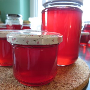 fertig befüllte Gläser für den Vorrat oder zum sofortigen Verzehr