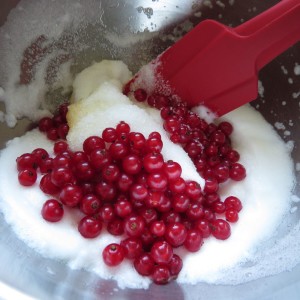 Für den Belag Zucker & Ribisel unter Eischnee ziehen