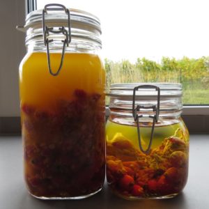 an einem warmen Ort aufs Fensterbrett stellen und ruhen