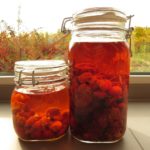 nur nach wenigen Tagen zieht der Alkohol die Farbe aus den Früchten