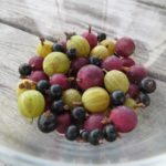 Beerenmix für den Frischverzehr