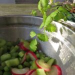 Sommerlicher Gurkensalat mit Pimpinelle